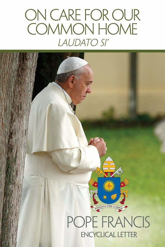 This is the cover of the English edition of Pope Francis' encyclical on the environment, "Laudato Si', on Care for Our Common Home." "When we fail to acknowledge as part of reality the worth of a poor person, a human embryo, a person with disabilities -- to offer just a few examples -- it becomes difficult to hear the cry of nature itself," the pope writes in the encyclical.