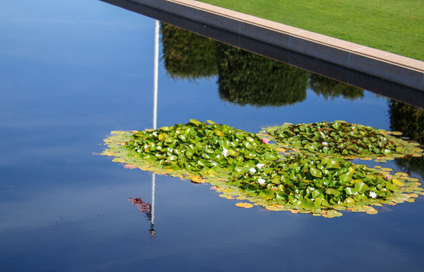 The reflecting pool at Normandy American Cemetery