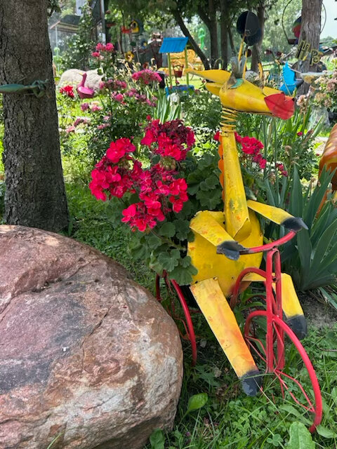 This whimsical giraffe on a bicycle may be found in one of the gardens on the 2024 Garden Tour.
