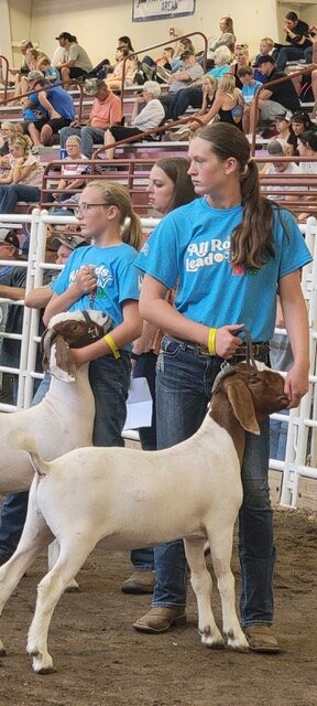 Sisters Brianna, left, and Ashlynn Jarzynka show goats together in the ring at the Nebraska State Fair. They both got blue ribbons, which means they scored above average. 