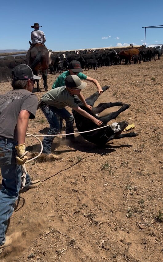 Youth family members roped from the ground at the Reams family branding. Here, Kylar Hainey, Corbyn Reams and Wyatt Weimer go to work.