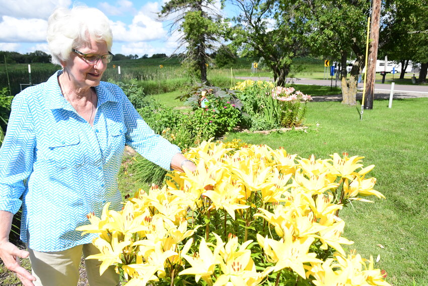 Evelyn Budde talks about yellow lilies July 17 in her garden in rural Grey Eagle. In the back by a birdhouse is a castor bean plant.