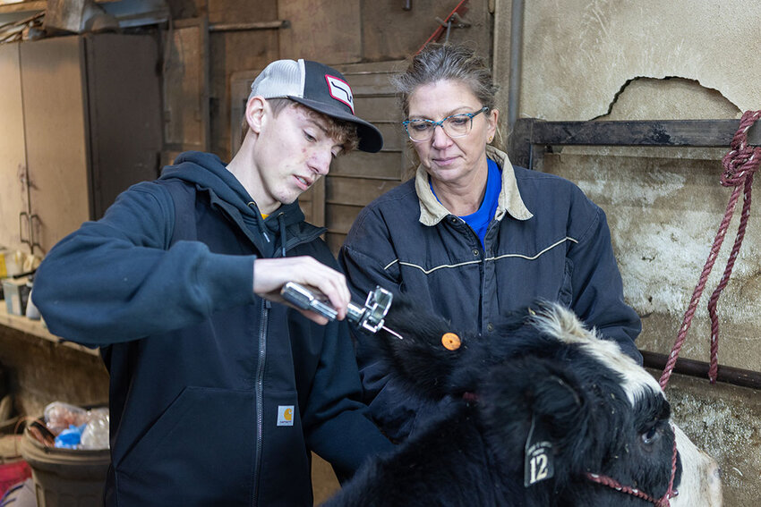 Dr. Leigh Meyer, BVU animal science professor, discusses livestock management with freshman animal science major Jeramiah Rediske while working with a steer.
