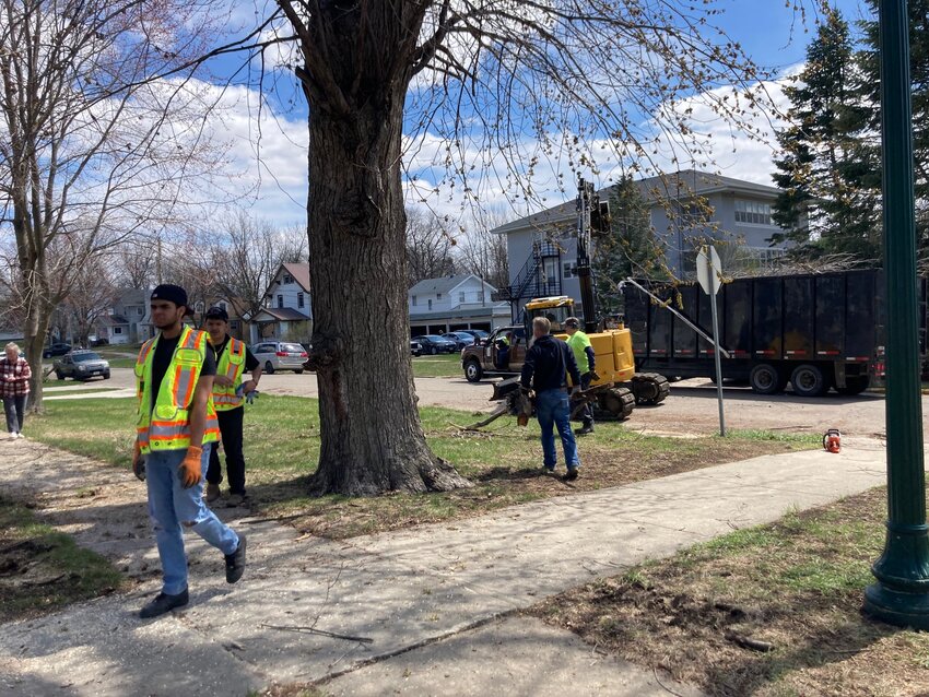 Volunteers assist GoServ Global workers clearing branches Saturday.