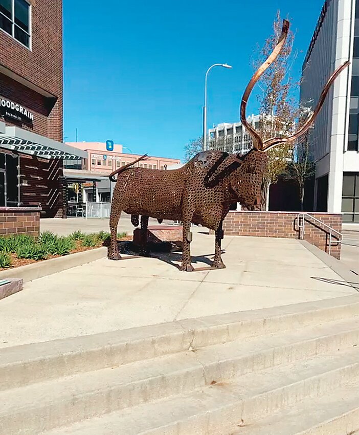 The longhorn in place in Sioux Falls.