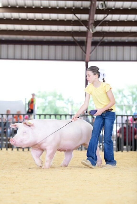 Gracelyn Olson walks her pig around the ring at this year’s Parker County Stock Show.