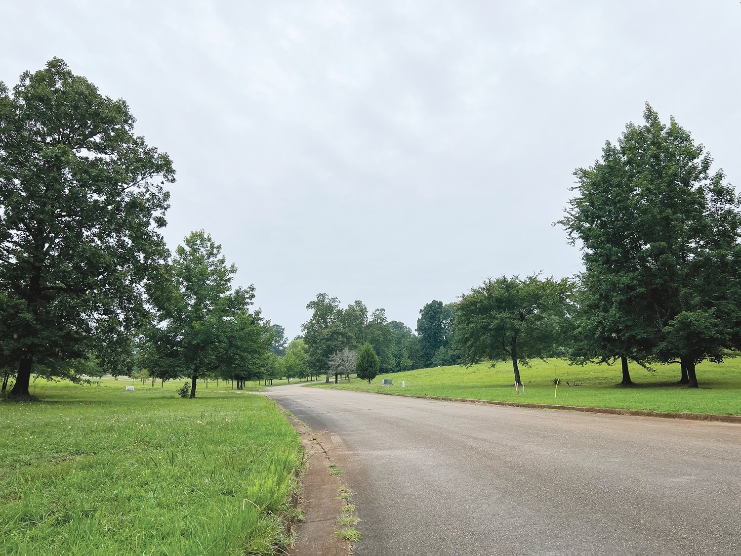 Lots in a quiet part of town with mature trees, city utilities and infrastructure are features of the now open Deer Park subdivision.