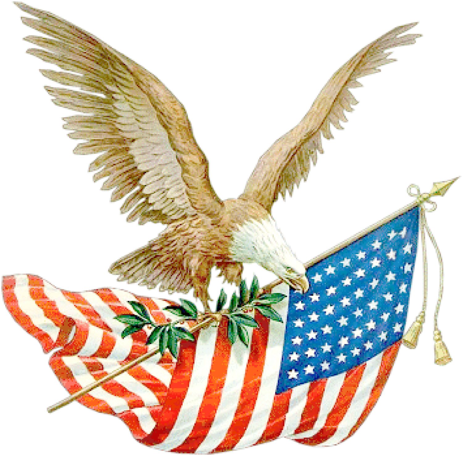 Eagle with Stars and Stripes
